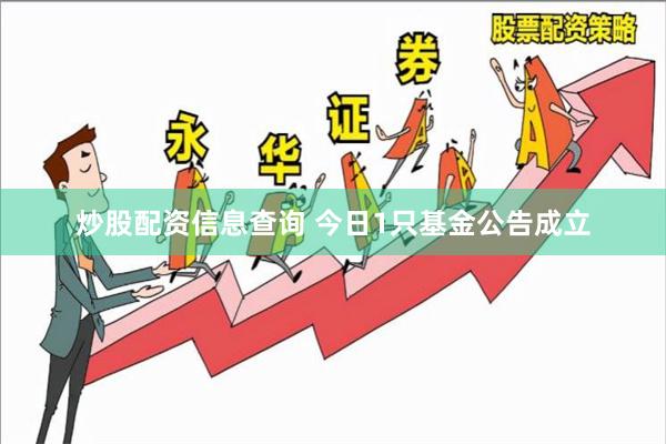 炒股配资信息查询 今日1只基金公告成立