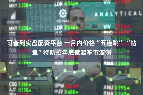 可查到实盘配资平台 一月内价格“五连跳” “鲇鱼”特斯拉年底掀起车市波澜