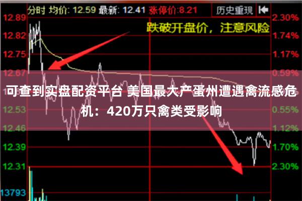可查到实盘配资平台 美国最大产蛋州遭遇禽流感危机：420万只禽类受影响