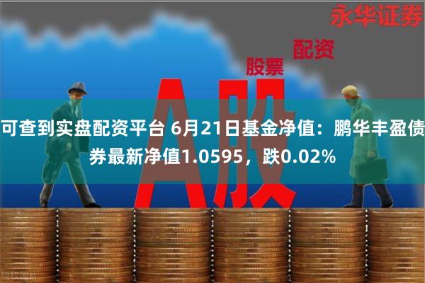 可查到实盘配资平台 6月21日基金净值：鹏华丰盈债券最新净值1.0595，跌0.02%