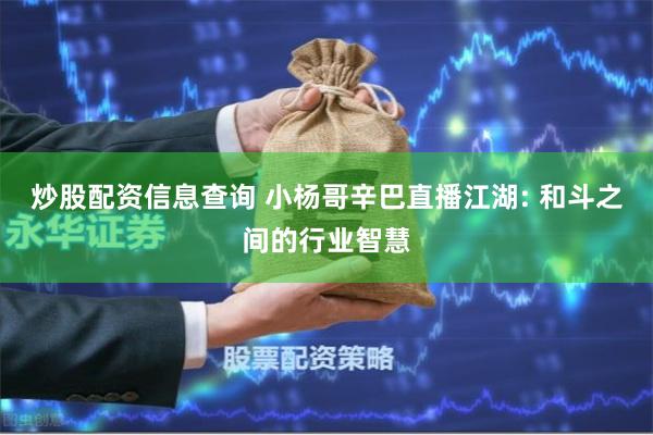 炒股配资信息查询 小杨哥辛巴直播江湖: 和斗之间的行业智慧