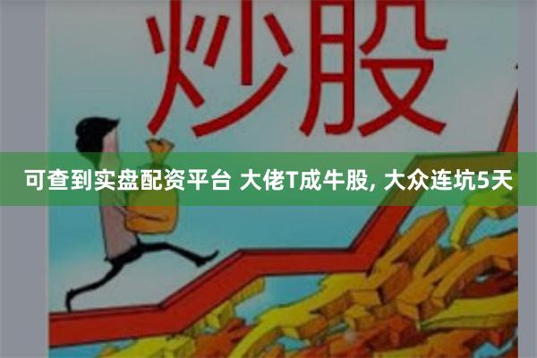 可查到实盘配资平台 大佬T成牛股, 大众连坑5天